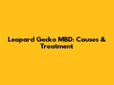 **Leopard Gecko MBD: Causes & Treatment**