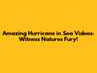 Amazing Hurricane in Sea Videos: Witness Nature's Fury!