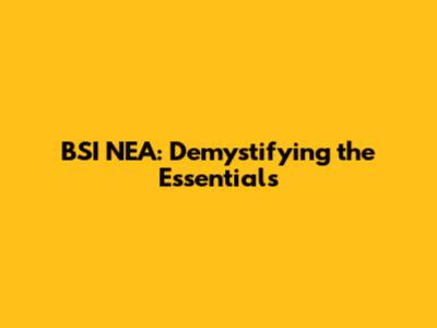 BSI NEA: Demystifying the Essentials