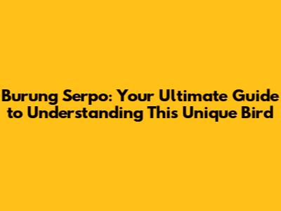 Burung Serpo: Your Ultimate Guide to Understanding This Unique Bird