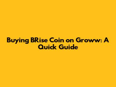 Buying BRise Coin on Groww: A Quick Guide