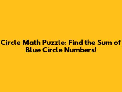 Circle Math Puzzle: Find the Sum of Blue Circle Numbers!