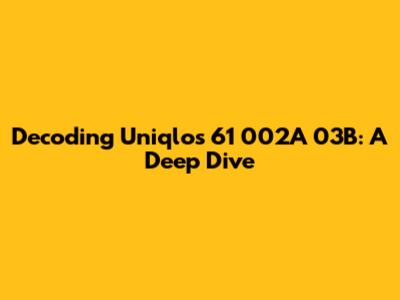 Decoding Uniqlo's 61 002A 03B: A Deep Dive