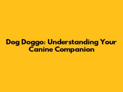Dog Doggo: Understanding Your Canine Companion