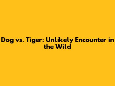 Dog vs. Tiger: Unlikely Encounter in the Wild