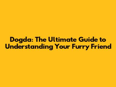 Dogda: The Ultimate Guide to Understanding Your Furry Friend