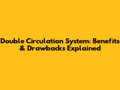 Double Circulation System: Benefits & Drawbacks Explained