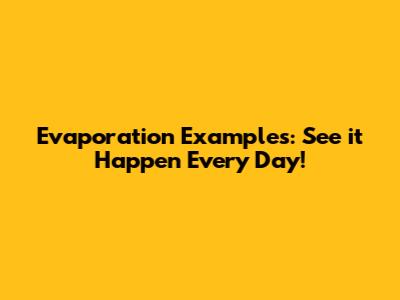 Evaporation Examples: See it Happen Every Day!