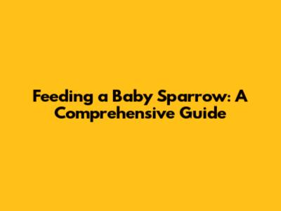 Feeding a Baby Sparrow: A Comprehensive Guide