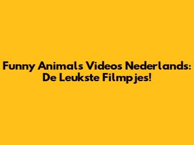 Funny Animals Videos Nederlands: De Leukste Filmpjes!