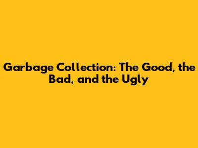 Garbage Collection: The Good, the Bad, and the Ugly