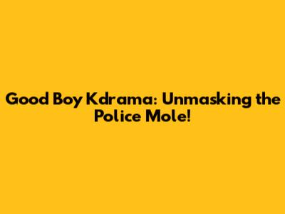 Good Boy Kdrama: Unmasking the Police Mole!