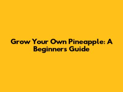 Grow Your Own Pineapple: A Beginner's Guide