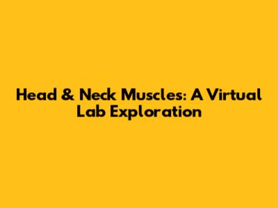 Head & Neck Muscles: A Virtual Lab Exploration