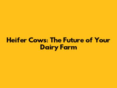 Heifer Cows: The Future of Your Dairy Farm