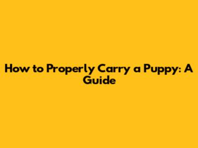 How to Properly Carry a Puppy: A Guide