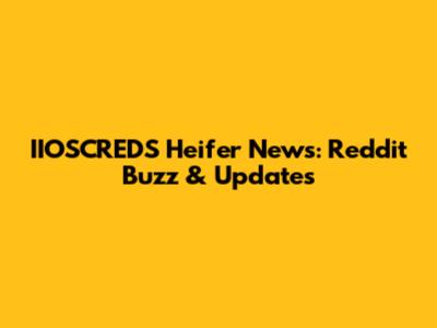 IIOSCREDS Heifer News: Reddit Buzz & Updates