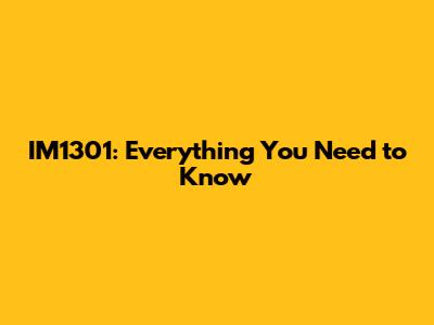 IM1301: Everything You Need to Know