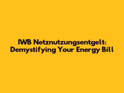 IWB Netznutzungsentgelt: Demystifying Your Energy Bill