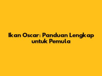 Ikan Oscar: Panduan Lengkap untuk Pemula
