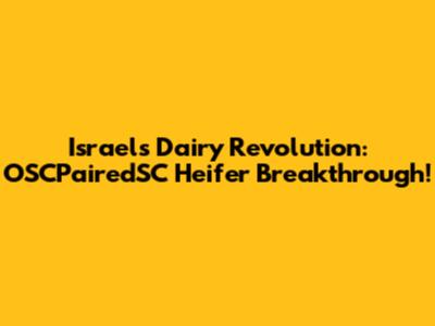Israel's Dairy Revolution: OSCPairedSC Heifer Breakthrough!