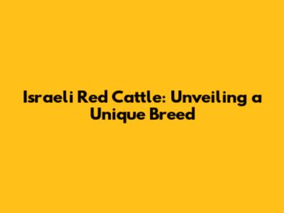 Israeli Red Cattle: Unveiling a Unique Breed