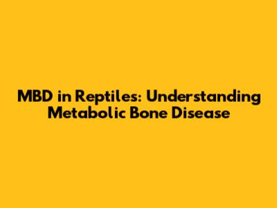 MBD in Reptiles: Understanding Metabolic Bone Disease