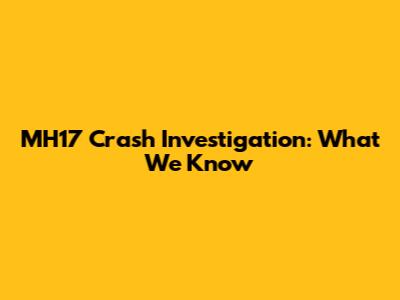 MH17 Crash Investigation: What We Know