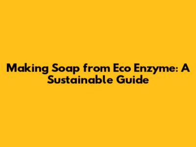 Making Soap from Eco Enzyme: A Sustainable Guide