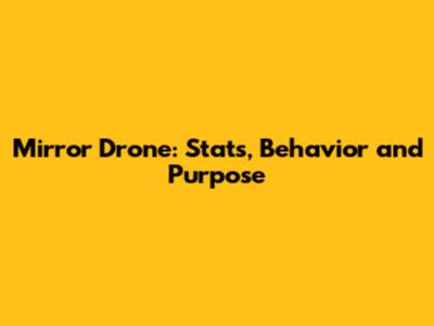 Mirror Drone: Stats, Behavior and Purpose