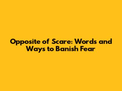 Opposite of Scare: Words and Ways to Banish Fear