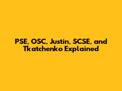 PSE, OSC, Justin, SCSE, and Tkatchenko Explained