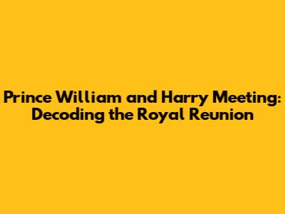 Prince William and Harry Meeting: Decoding the Royal Reunion