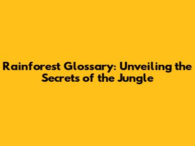 Rainforest Glossary: Unveiling the Secrets of the Jungle