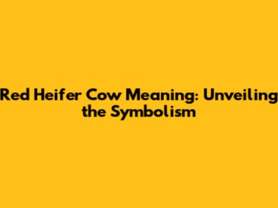 Red Heifer Cow Meaning: Unveiling the Symbolism