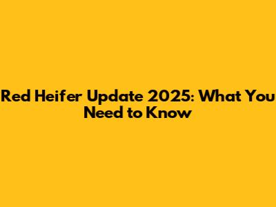 Red Heifer Update 2025: What You Need to Know