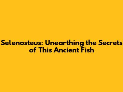 Selenosteus: Unearthing the Secrets of This Ancient Fish