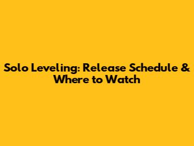 Solo Leveling: Release Schedule & Where to Watch