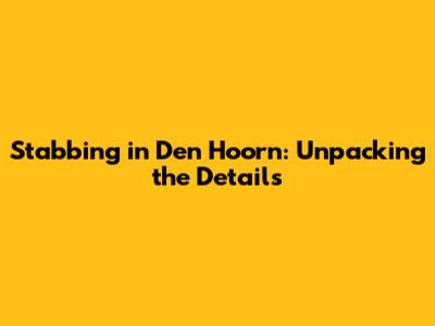 Stabbing in Den Hoorn: Unpacking the Details