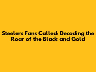 Steelers Fans Called: Decoding the Roar of the Black and Gold