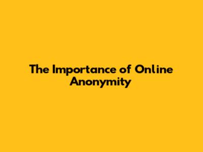 The Importance of Online Anonymity