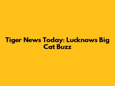 Tiger News Today: Lucknow's Big Cat Buzz