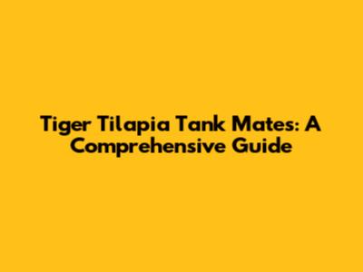 Tiger Tilapia Tank Mates: A Comprehensive Guide