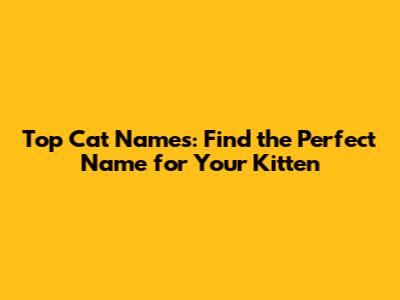 Top Cat Names: Find the Perfect Name for Your Kitten