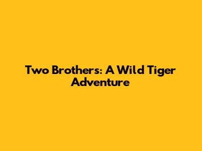 Two Brothers: A Wild Tiger Adventure