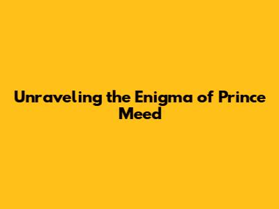 Unraveling the Enigma of Prince Meed